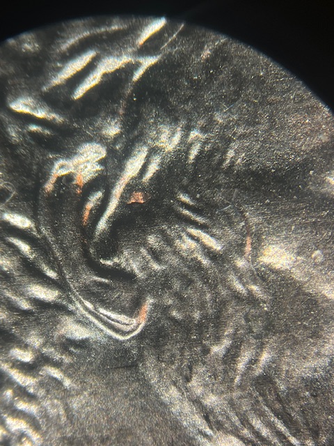 Lincoln-Memorial-Cent-2006--Double-Ear-Lob-?